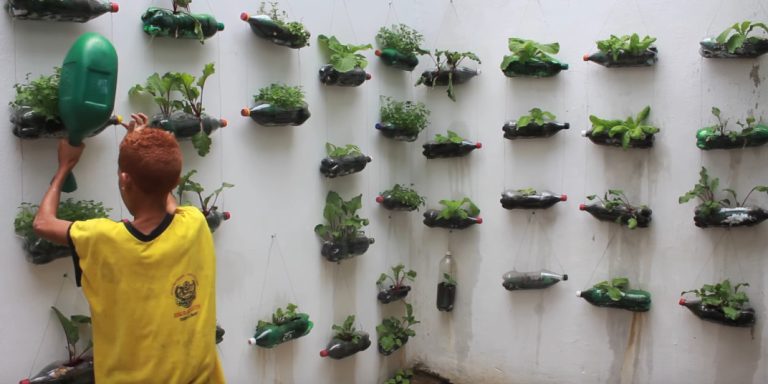 Les potagers verticaux de la communauté des petits prophètes