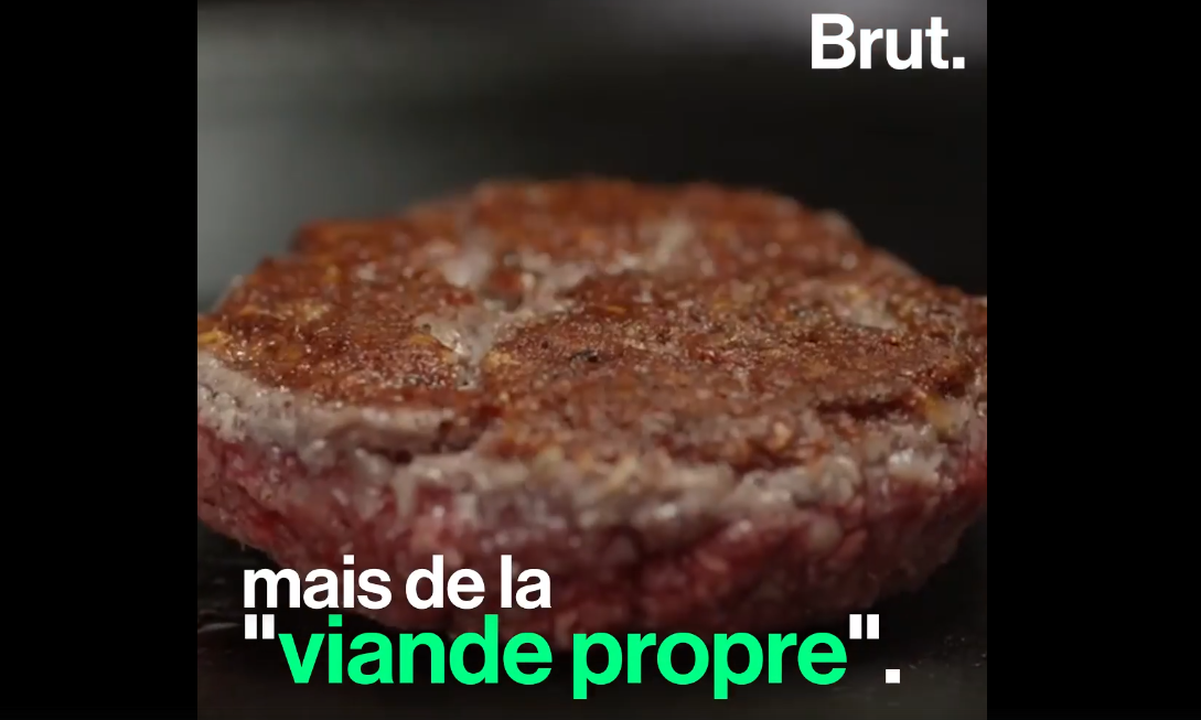 Clean Meat : la viande sans viande