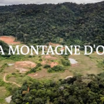 VIDEO : Qu’est-ce que la « Montagne d’or » qui fait polémique en Guyane ?