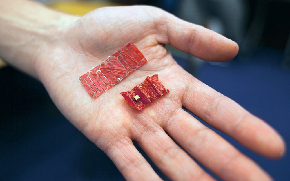 Ces robots à manger vous soigneront de l&rsquo;intérieur