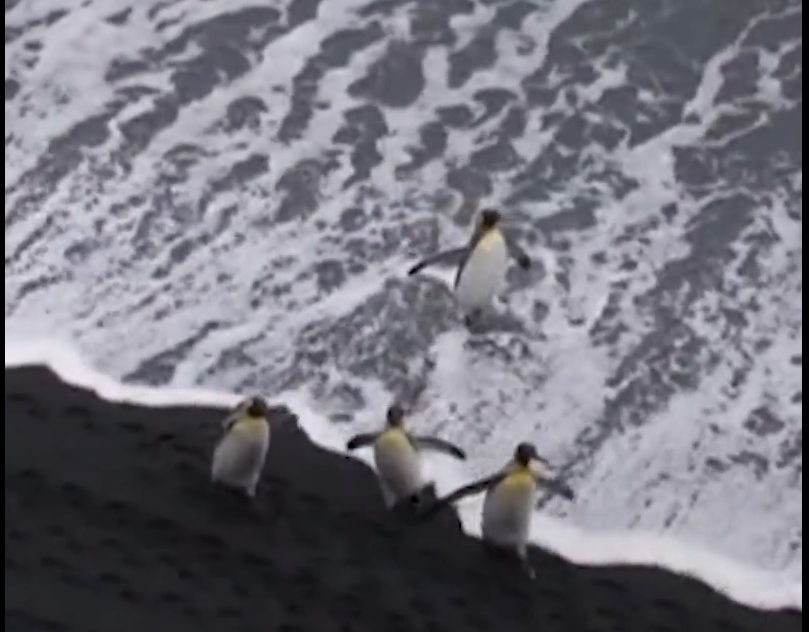 La plus grande réserve naturelle française