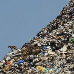 L&rsquo;économie circulaire, un modèle alternatif pour sauver le monde