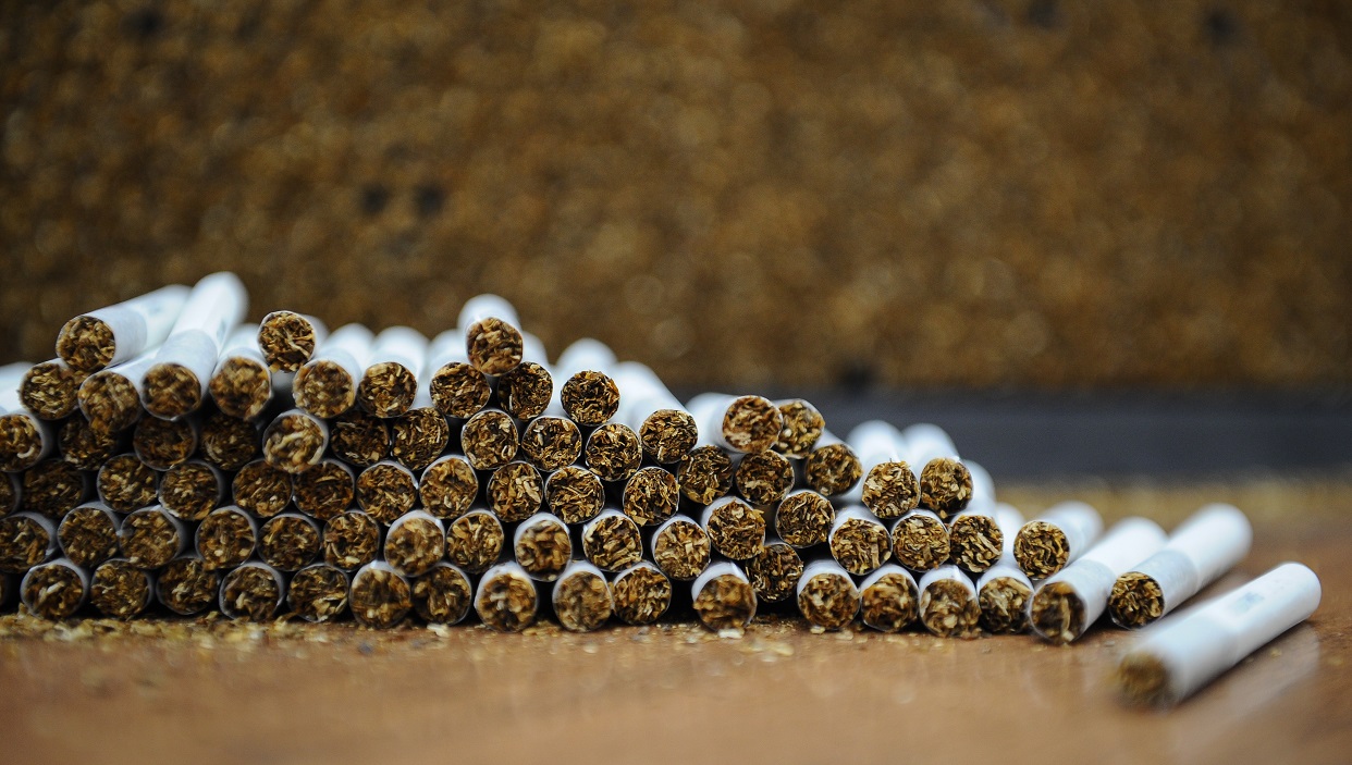 Déforestation, épuisement des sols, pollution de l&rsquo;eau, travail des enfants, le tabac ne nuit pas qu&rsquo;à la sante