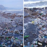 En Algérie, une nouvelle marée de déchets plastique sur une plage de Béjaïa