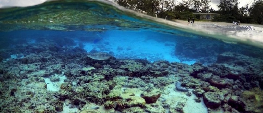 Les entreprises et la biodiversité