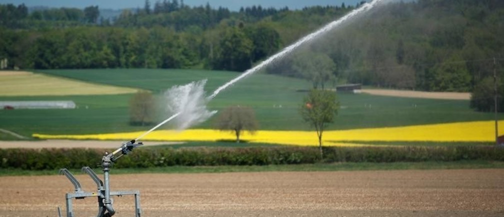 Les aliments les plus gourmands en eau