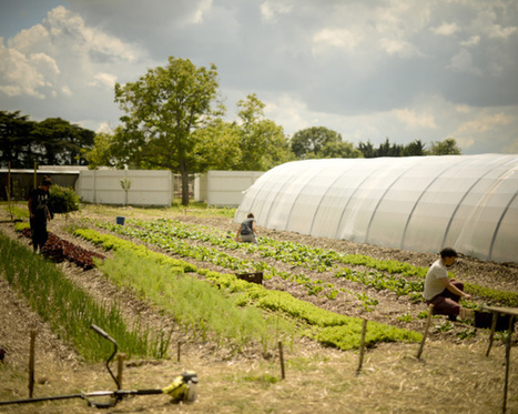 13 Fermes d&rsquo;avenir : un concours pour soutenir les « agriculteurs de demain »