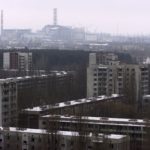 30 ans après le drame, la faune renaît à Tchernobyl