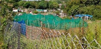 Abri de jardin : la France va-t-elle conserver l’un des impôts les plus farfelus d’Europe ?