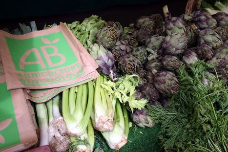 Agriculture biologique : où en est-on en France ?