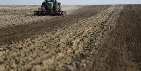 Agriculture: les chiffres de la détresse