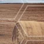AI for Earth : Microsoft lance un fonds d&rsquo;investissement pour projets écolos