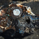 Anthropie : le plastique des océans se transforme en rochers