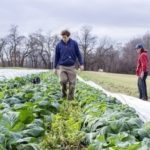 Bio: 21 nouvelles fermes par jour en 2016