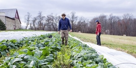 Bio: 21 nouvelles fermes par jour en 2016