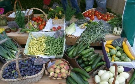 Bio : la France veut doubler ses surfaces agricoles