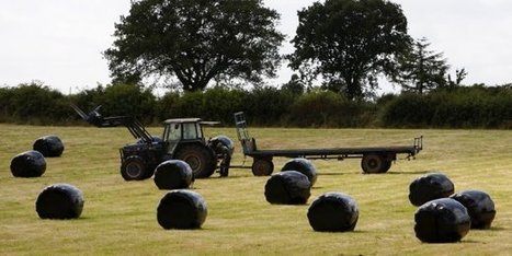 Brexit: une opportunité pour l&rsquo;agriculture et l&rsquo;environnement ?