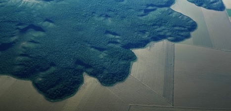 Capter le CO2 de l’atmosphère ? Des techniques existent, mais elles ont un coût !
