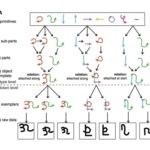 Cet algorithme permet aux machines d&rsquo;apprendre aussi vite que les humains