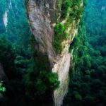China&rsquo;s eco-civilization plan calls for 23% forest cover by 2020