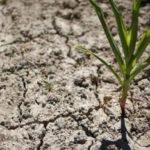 Climat : les investisseurs de plus en plus préoccupés par le risque financier