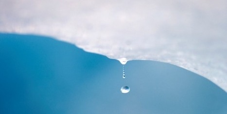 Climat : « les scientifiques ne peuvent pas être plus alarmistes »