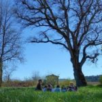 Dans la Drôme, cette école participative forme les jeunes générations à l&rsquo;écologie