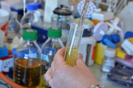 Découverte de chercheurs de l&rsquo;UCL pour freiner l&rsquo;avancée du cancer