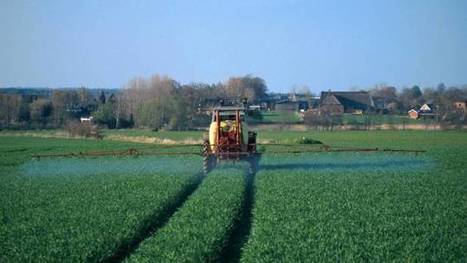 Des maisons polluées aux pesticides en zone agricole