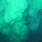 Des polluants organiques retrouvés dans les abysses