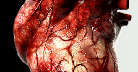 Des scientifiques français ont mis au point des cellules souches capables de réparer le coeur humain