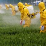 Deux experts de l’ONU réclament la fin des pesticides et l’abolition de l’agriculture industrielle !