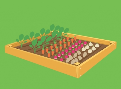 Devenez ageekulteur et mangez vos propres légumes poussés sur la toile