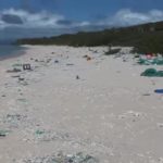 Environnement. Une île déserte du Pacifique ensevelie sous les plastiques