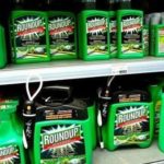 Et si demain, Monsanto était condamné pour écocide ?