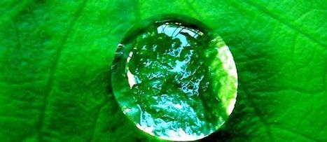 Et si le secret de la vie tenait dans une goutte d&rsquo;eau…