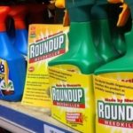 Faut-il avoir peur du glyphosate ?