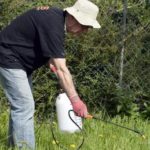 Glyphosate. Paris s’opposera au renouvellement de son autorisation