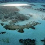 Grande Barrière de corail : la mine géante du groupe Adani devrait voir le jour