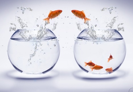 Grèce : Le développement du troc et des systèmes de paiement alternatifs