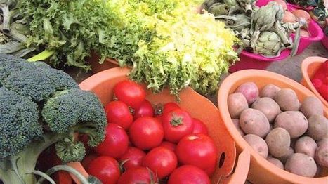 L&rsquo;agriculture biologique gagne toujours du terrain en France (et en Europe)