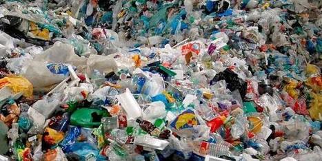 L&rsquo;Assemblée nationale vote l&rsquo;interdiction des sacs plastiques