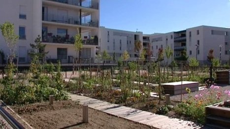 Le boom des jardins en ville en 4 épisodes