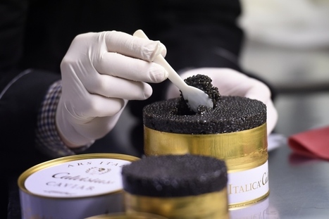 Le nombre de millionnaires français va exploser d&rsquo;ici à cinq ans