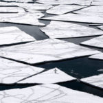 Le plus grand sanctuaire marin au monde verra le jour en Antarctique