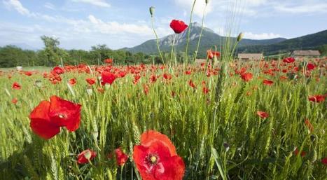 Le projet agroécologique en France