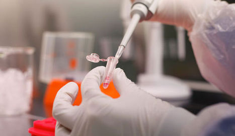 Le réchauffement climatique libère des virus préhistoriques