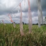 Le sac plastique biodégradable questionne notre modèle de société