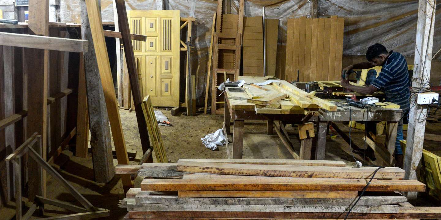 Le Sri Lanka va interdire les tronçonneuses