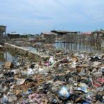 Le ver dévoreur de plastique !